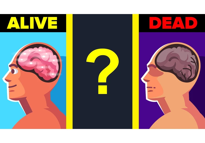 This is What Happens to Your Brain as You Are About to Die