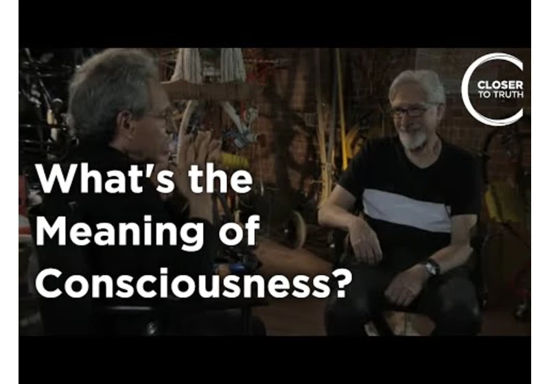 Ned Block - What's the Meaning of Consciousness?