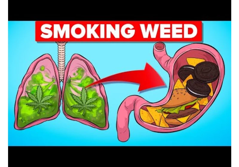 What Happens To Your Body When Smoking Weed And Other Crazy Heath Stories (Compilation)