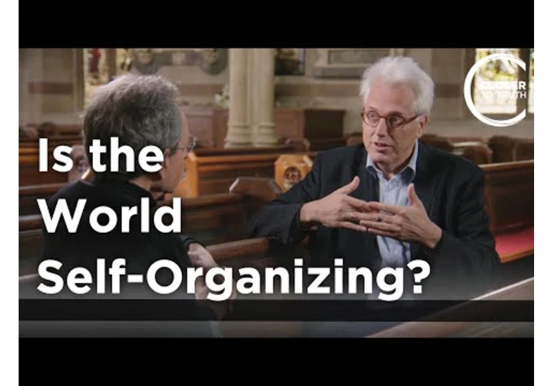 Willem Drees - Is the World Self-Organizing?