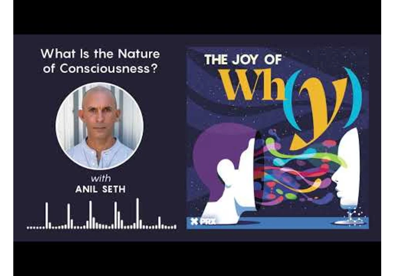 What Is the Nature of Consciousness? | Podcast: The Joy of Why