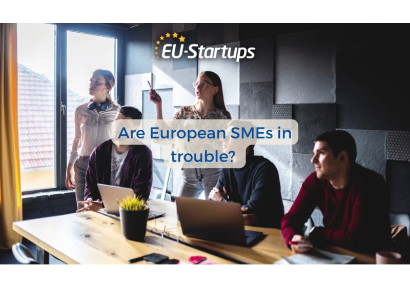 Times of Crisis: Are European SMEs (incl. startups) in trouble?