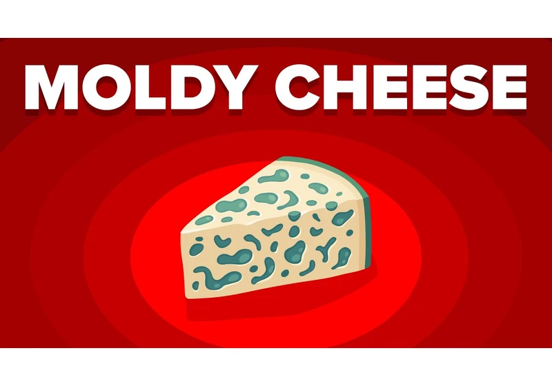 Why Don't You Get Sick When Eating Moldy Cheese