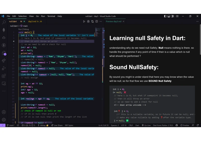 3 / 100DaysOfFlutter: Dart Sound Null Safety, Null Assign, Null Check, Everything null.