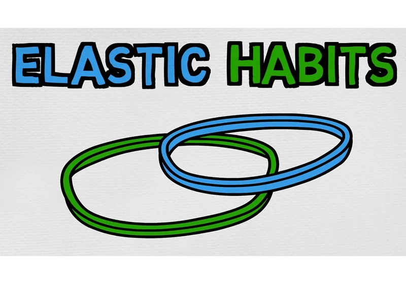 Make Your Habits Stick Forever (elastic habits)