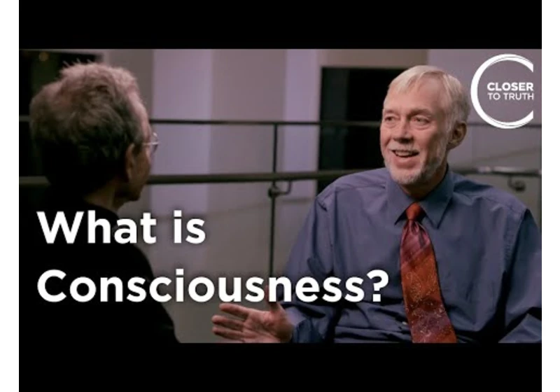 Roy Baumeister - What Is Consciousness?