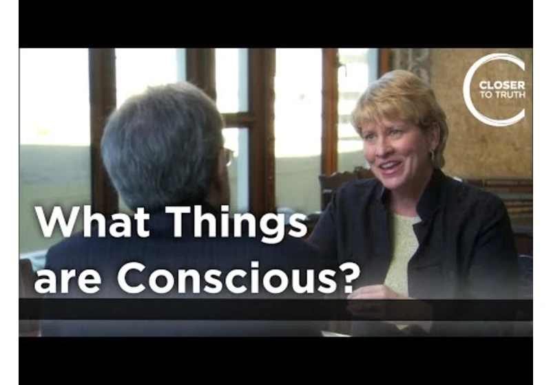 Marilyn Schlitz - What Things are Conscious?