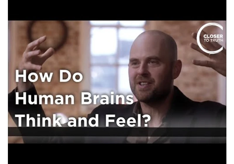 Alva Noë - How do Human Brains Think and Feel?