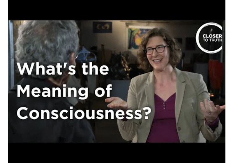 Julia Mossbridge - What's the Meaning of Consciousness?