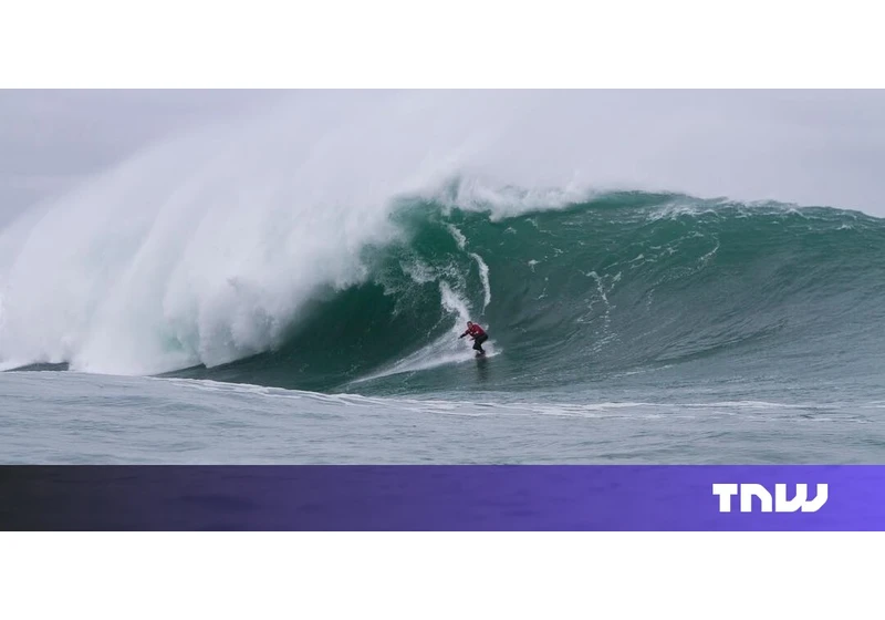 Big wave surfer emerges from the barrel with $120M fund for regenerative agriculture