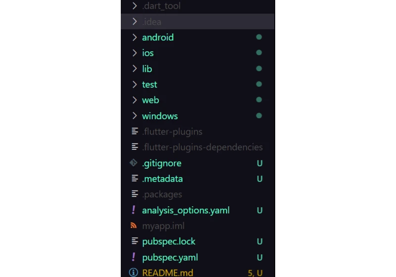 6 /100 DaysOfFlutter: Introduction to flutter Codebase