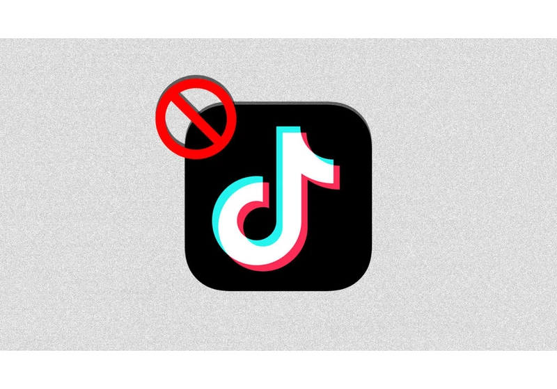 ‘I need to know what’s going to be the new app’: TikTok influencers are pitching other platforms to their followers as a ban looms