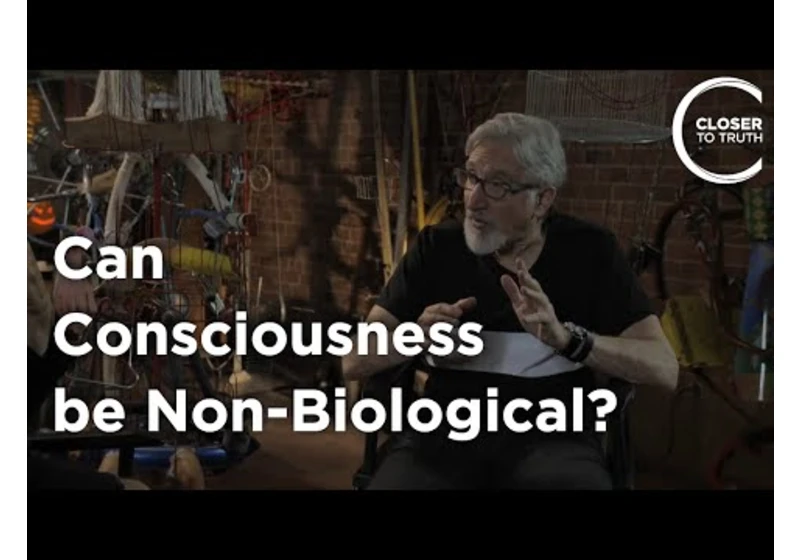 Ned Block - Can Consciousness be Non-Biological?