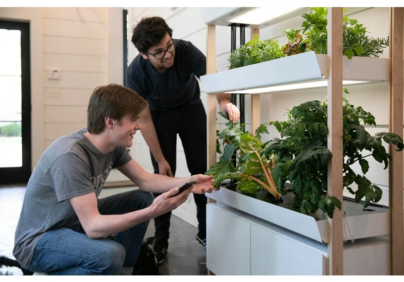 Rise Gardens Double Family Garden review: This smart indoor greenhouse doesn’t need the sun