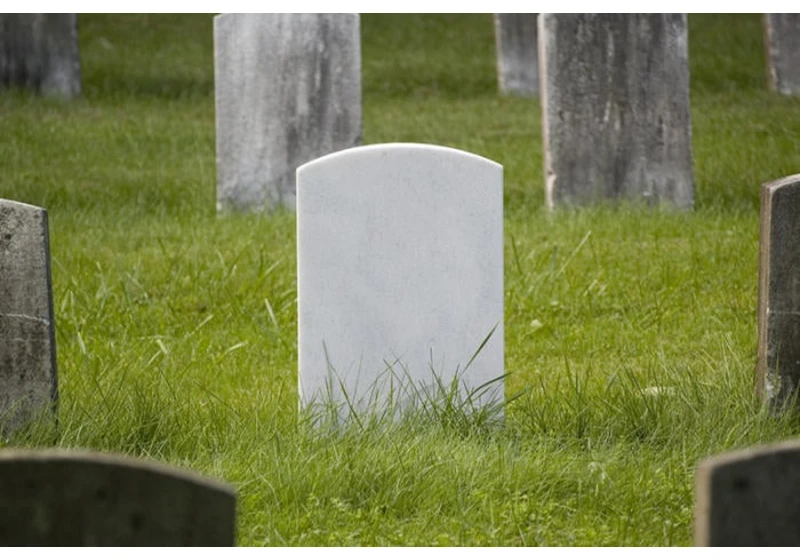 Windows 10 shovels dirt on Flash's grave