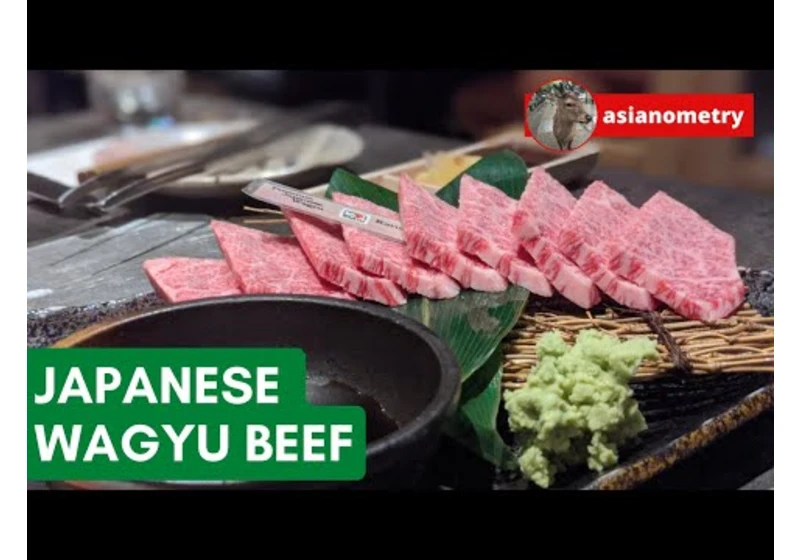 Japan’s Delicious Wagyu Beef