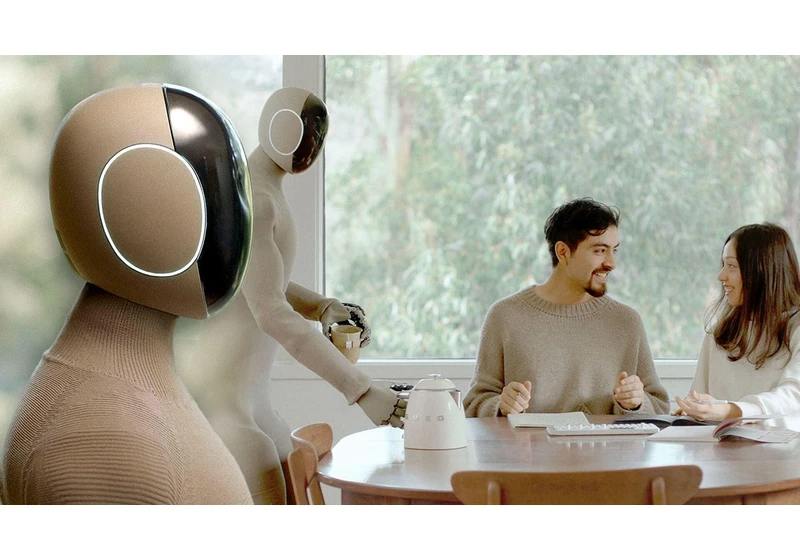 A Humanoid Robot Made for Your Home video