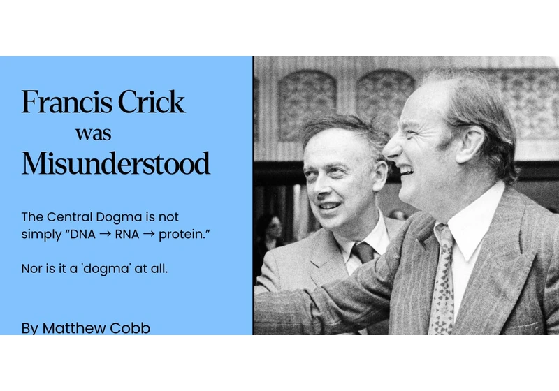 Francis Crick Was Misunderstood