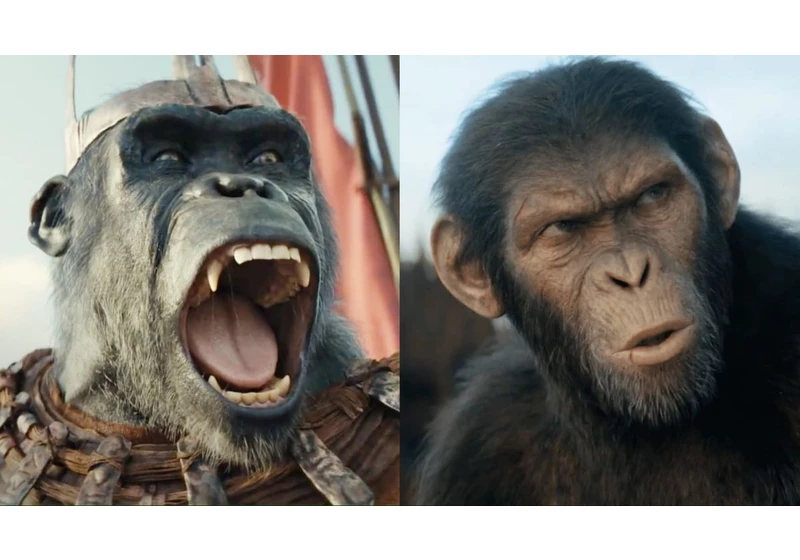  Kingdom of the Planet of the Apes director explains the film's timeline, setting and cinematic universe 
