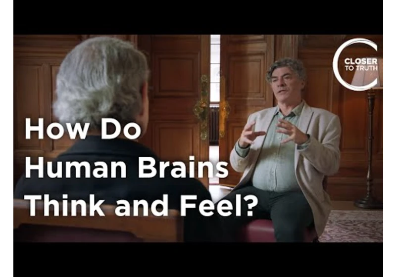 John Schlag - How Do Human Brains Think and Feel?