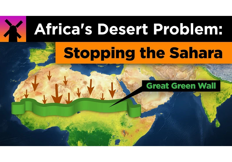 Africa's Desert Problem: How to Stop the Sahara