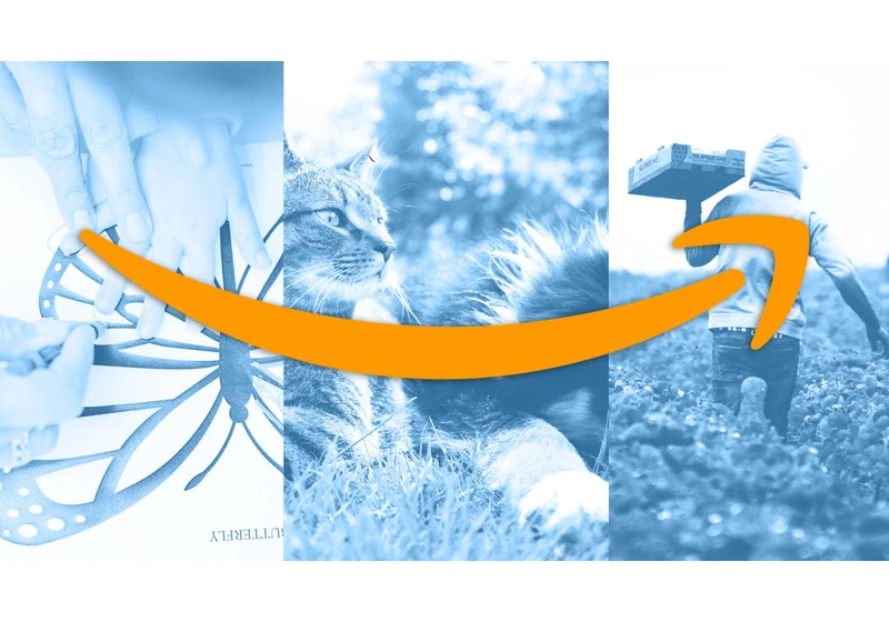 What is AmazonSmile and how does it work?