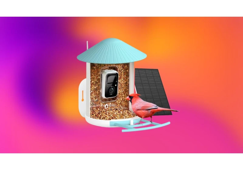 With $85 Off at Amazon, This Smart Bird Feeder Is a Cheep Buy This Black Friday