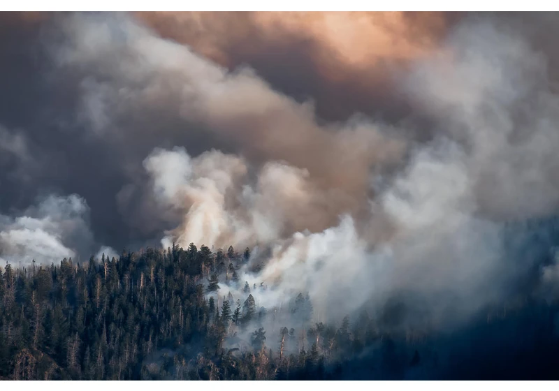 Can our climate be saved by vacuuming carbon out of the skies