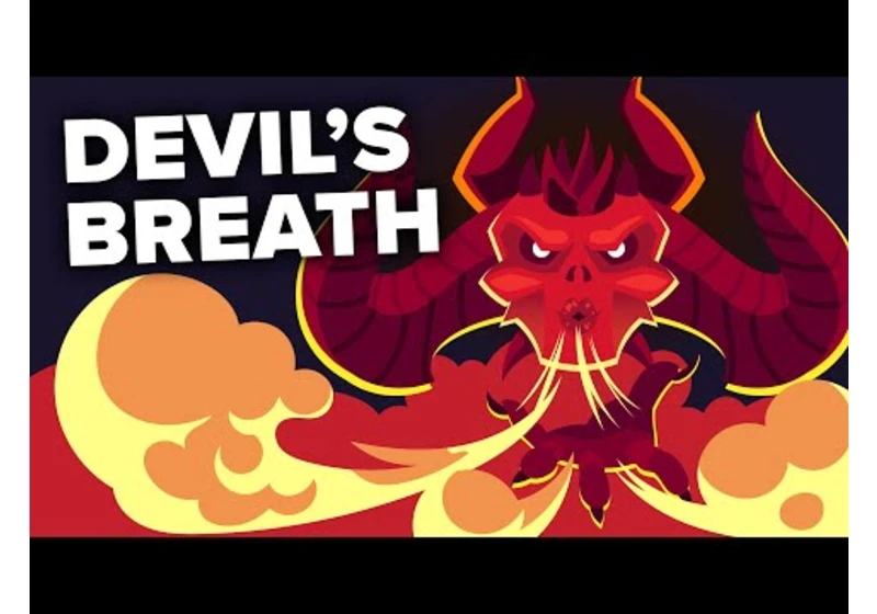 Devil’s Breath - World’s Scariest Drug?