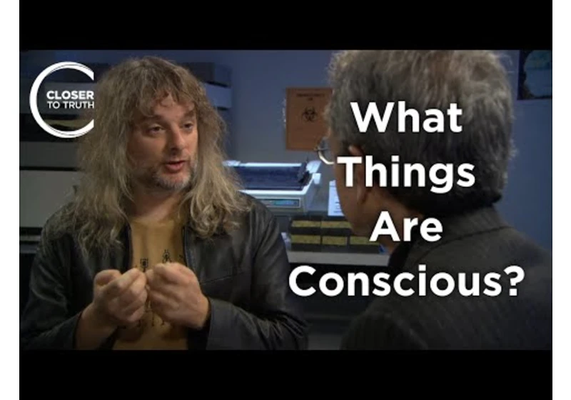 David Chalmers - What Things are Conscious?