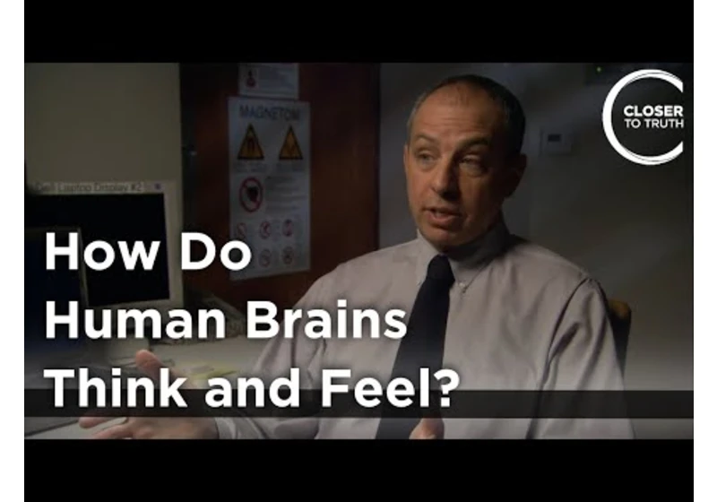 John Mazziotta - How Do Human Brains Think and Feel?