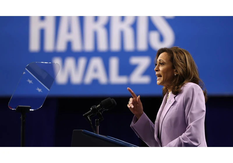 The Kamala Harris Google ad controversy explained