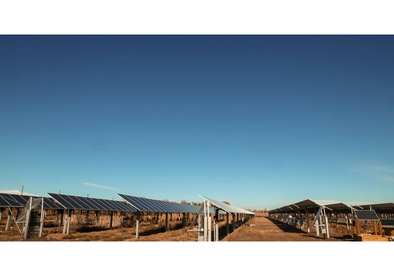 A marriage of solar energy and farming