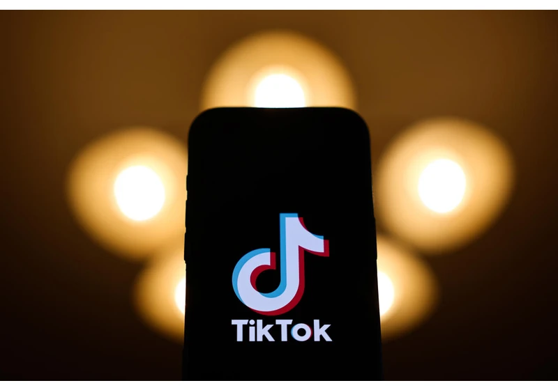 TikTok asks the Supreme Court to delay upcoming ban