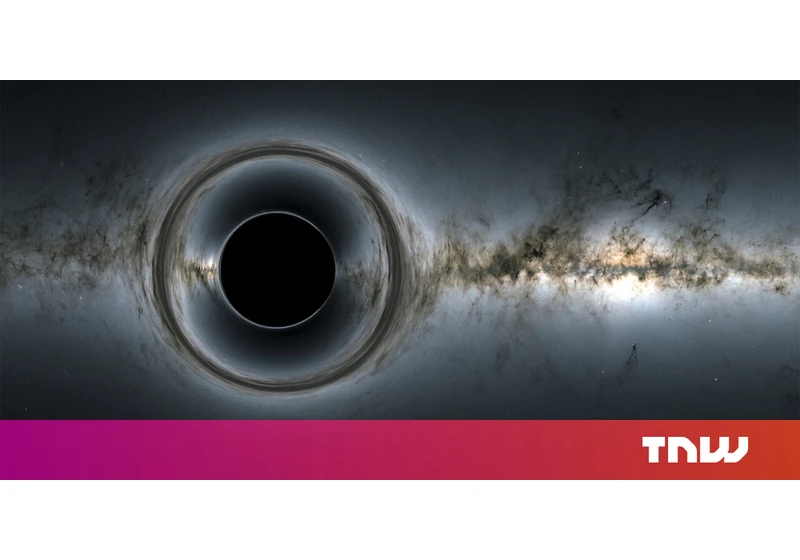 Can black holes become white holes?