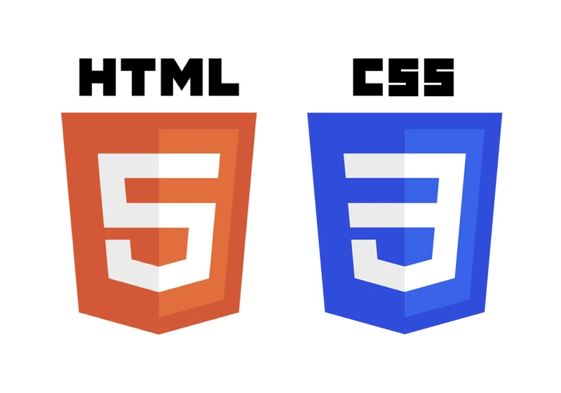 CSS Snapshot 2020