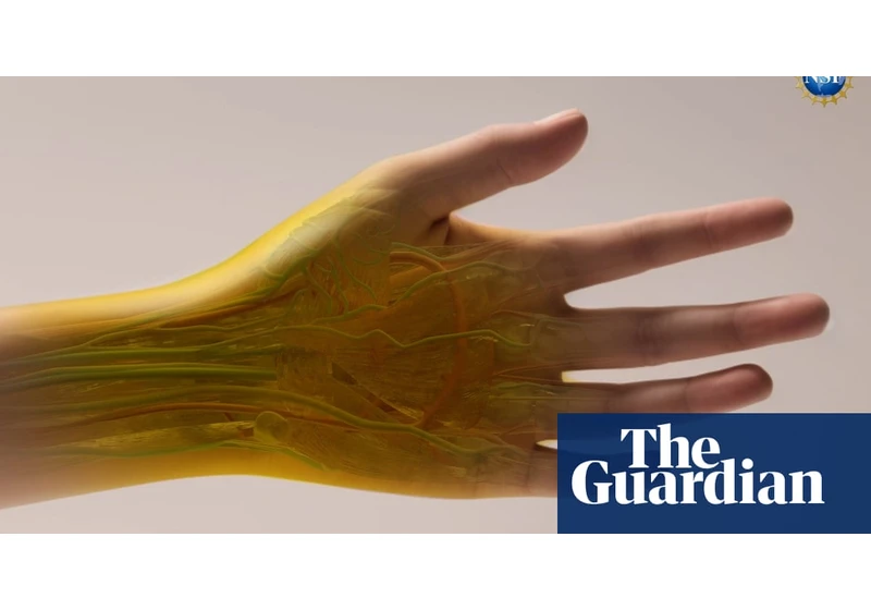 Common food dye found to make skin and muscle temporarily transparent