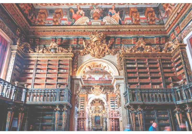 In This Beautiful Library, Bats Guard the Books