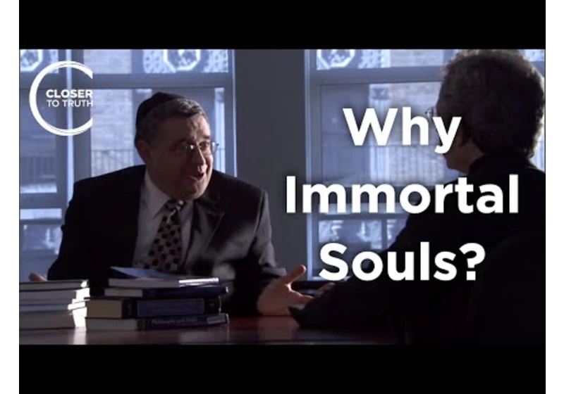 David Shatz - What Would an Immortal Soul Be Like?