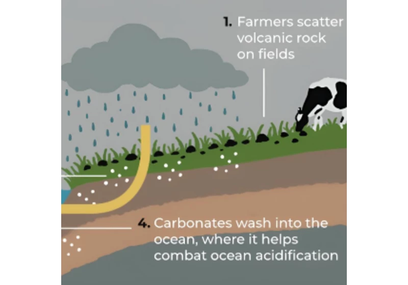Farmáři by mohli pomoct s oteplenou planetou pěstováním kamenů na polích