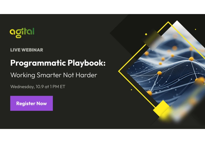 2025 Programmatic Playbook: Working Smarter Not Harder by Agital