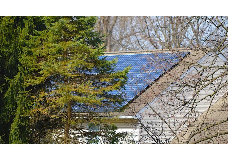 Can Shade From Trees Affect Your Solar Panel Installation?