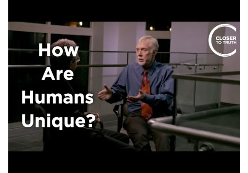 Roy Baumeister - How are Humans Unique?