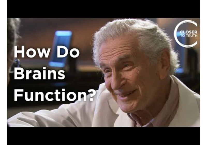 Arnold Scheibel - How Do Brains Function?