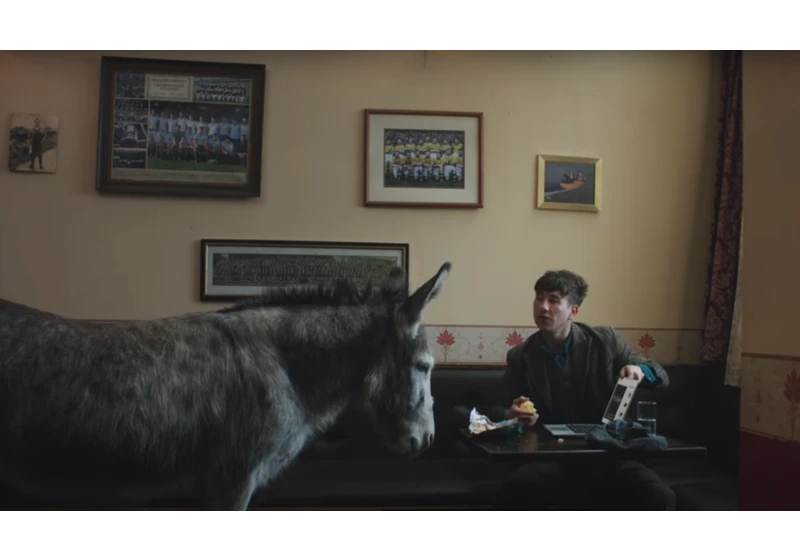  Squarespace's 2025 Super Bowl ad features Saltburn star and a donkey, in a pub 