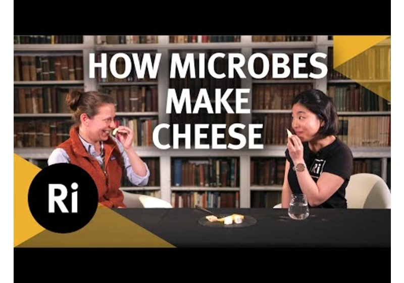 The Science of Cheese - Ri Science Podcast with Bronwen Percival