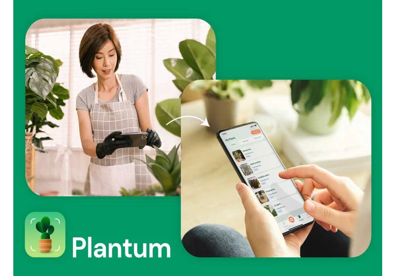 Kill fewer plants with lifetime access to Plantum’s plant care wisdom