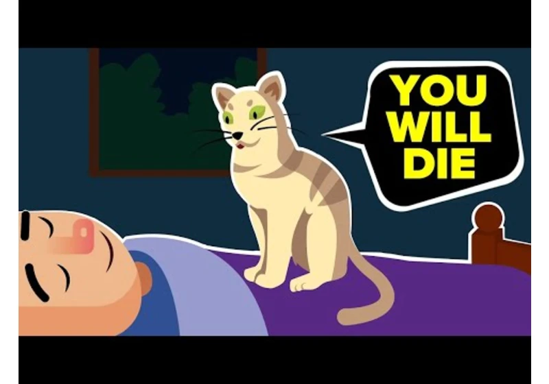 How Your Pet Is Trying To Warn You That You Are Going To Die (Compilation)