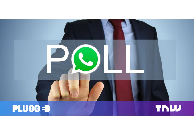 WhatsApp’s upcoming polls feature will be way more useful than you think