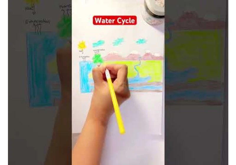 Water Cycle - Hydrologic Cycle #science